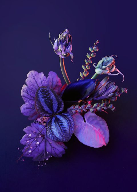 MOTH(ER): Planet Moth x Mother Agency